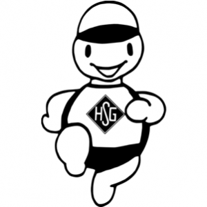hsg